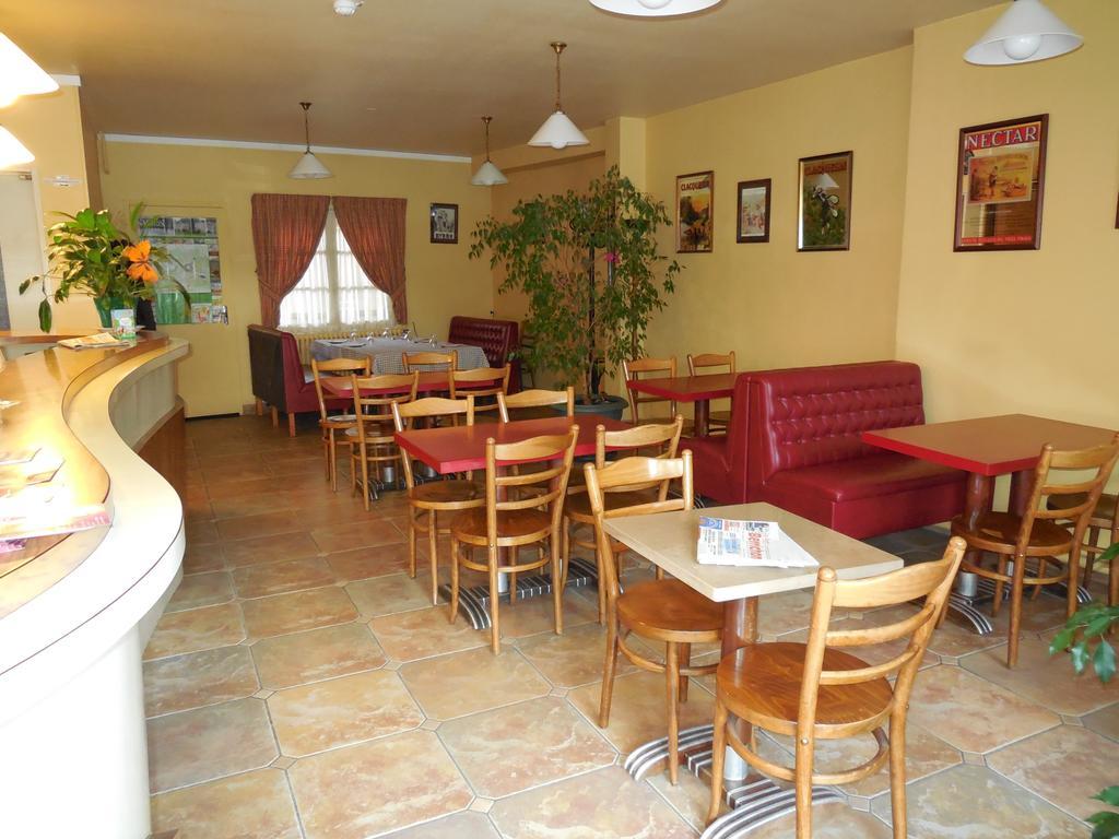 Hotel Le Lion D'Or Salbris Kültér fotó